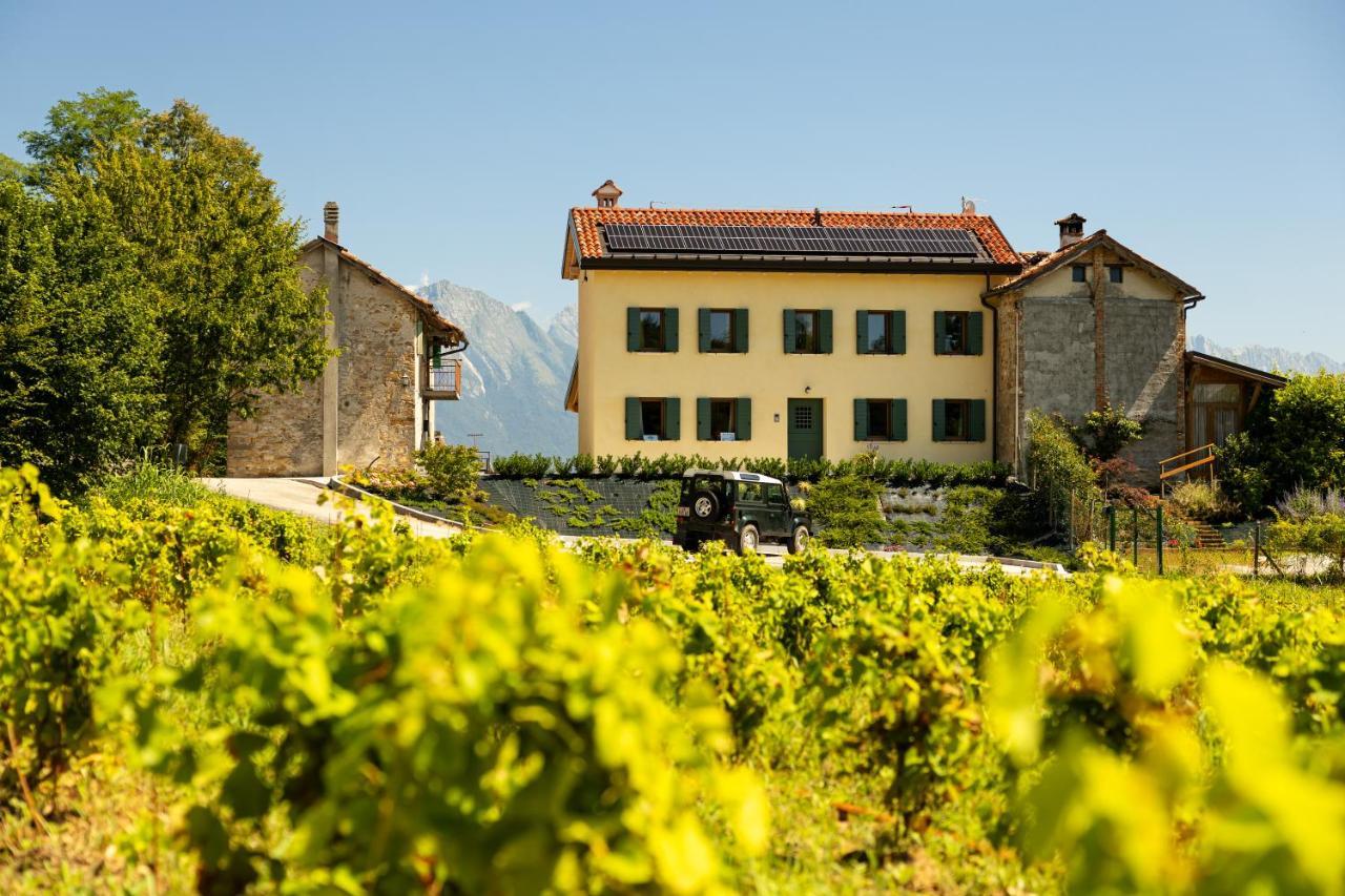 B&B Le Zucche Belluno Exterior foto